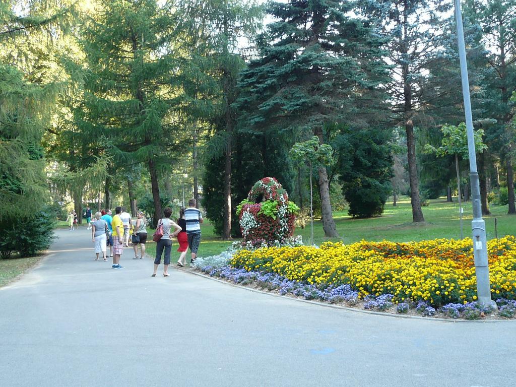 Homestay Asturia Rymanow-Zdroj